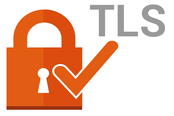 Transport Layer Security in REST Services