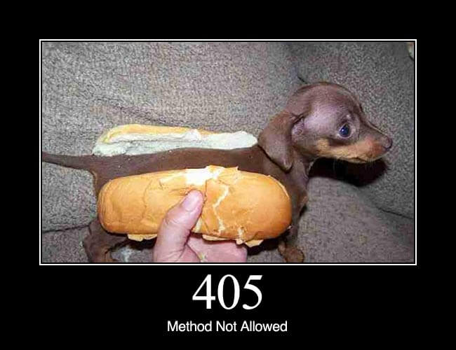 405 - Method Not Allowed